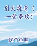 引火烧身(一受多攻)_