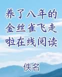 养了八年的金丝雀飞走啦在线阅读