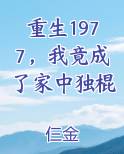 重生1977，我竟成了家中独棍电子书