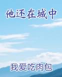 他还在城中在线阅读