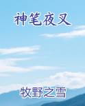 夜叉神是干什么的