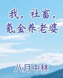我，社畜，氪金养老婆最新章节免费阅读